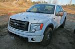 Ford F-150 2009 года